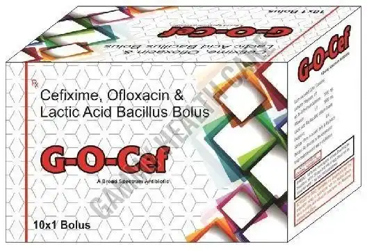 Liver Veterinary Bolus Liver Veterinary Bolus